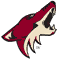 z_arizona_coyotes